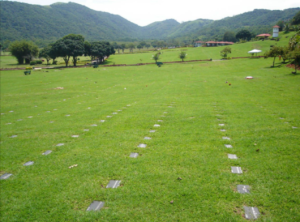 Coroa de Flores Velório Municipal (Bragança Paulista/SP)
